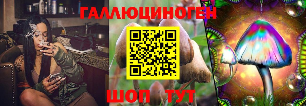 Псилоцибиновые грибы ЛСД Йошкар-Ола